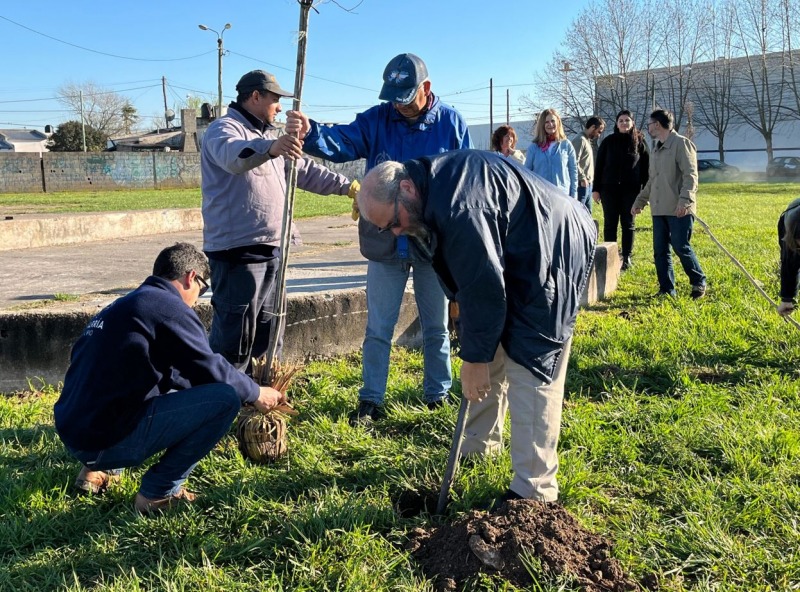 Semana del rbol: plantacin junto a combatientes de Malvinas